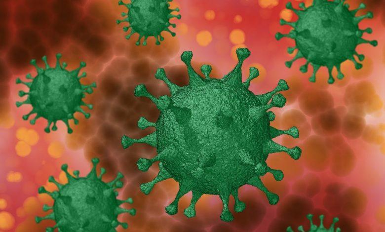Coronavirus mutates slower than flu: high risk of a long-term vaccine