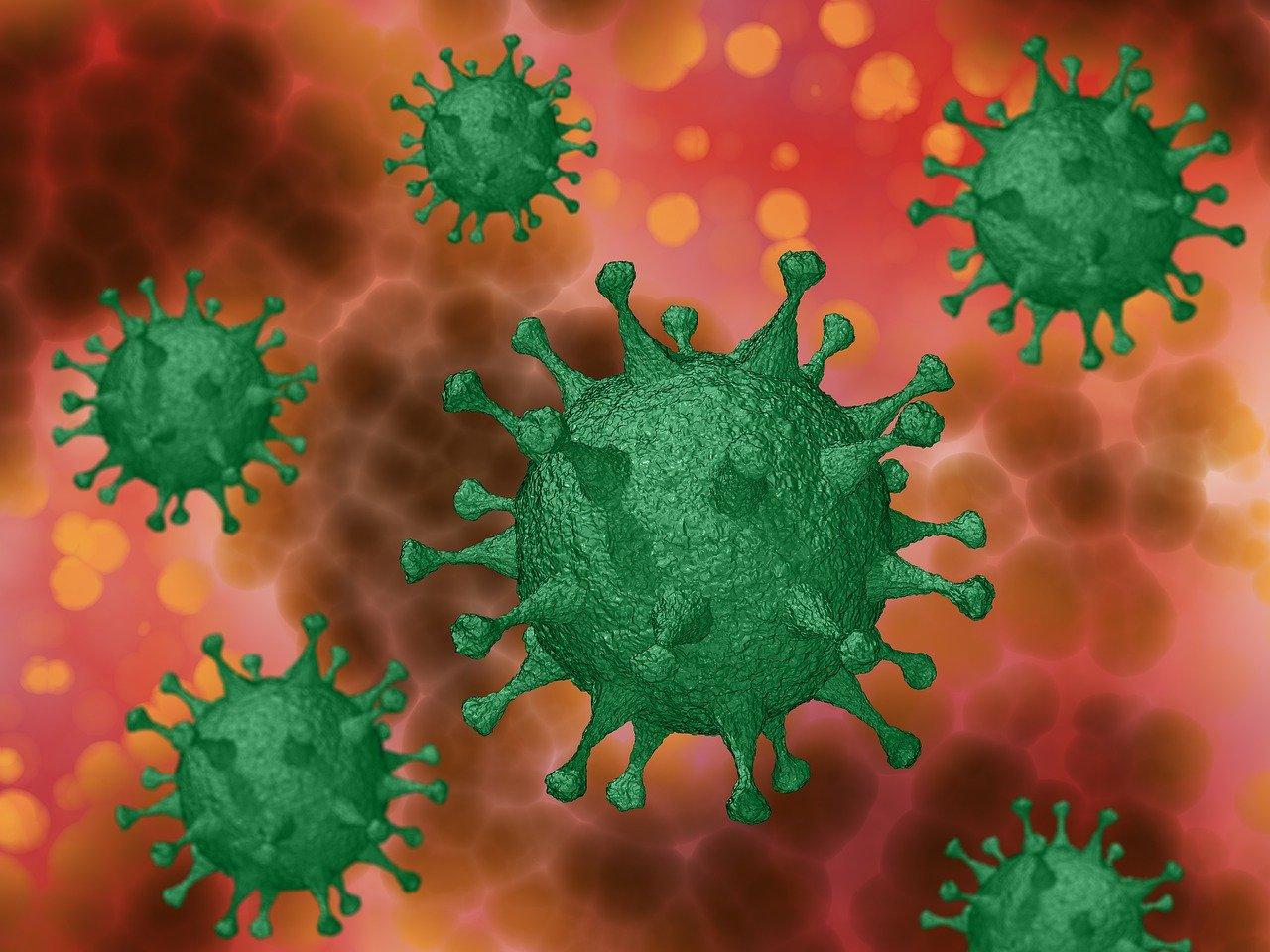 Coronavirus mutates slower than flu: high risk of a long-term vaccine