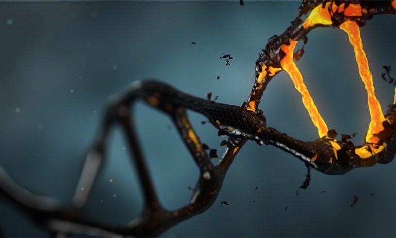 Experts discover ‘tools’ to restore DNA