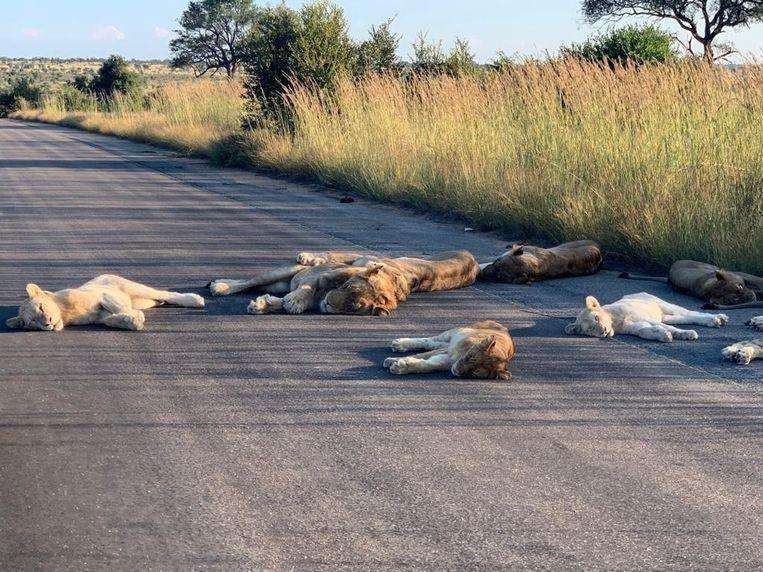 Kruger National Park