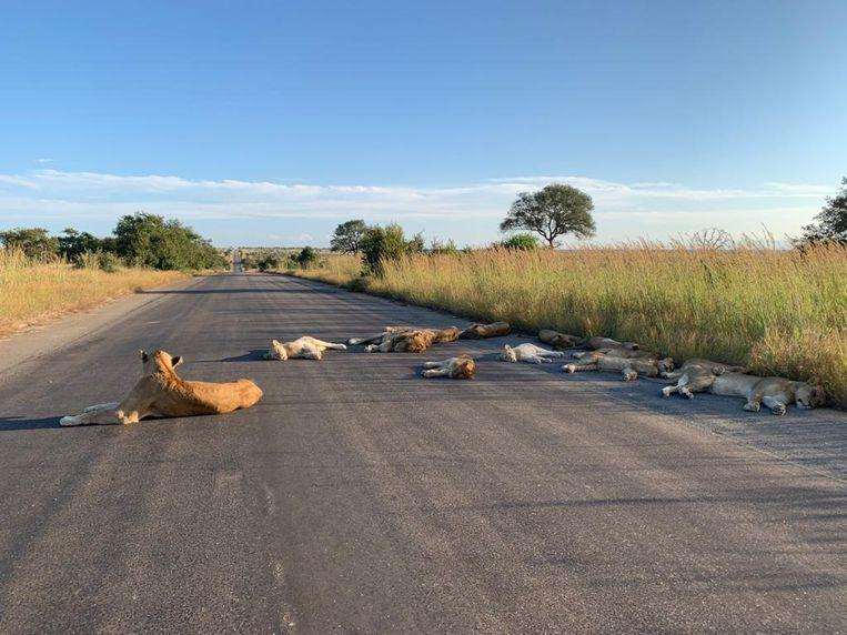 Kruger National Park
