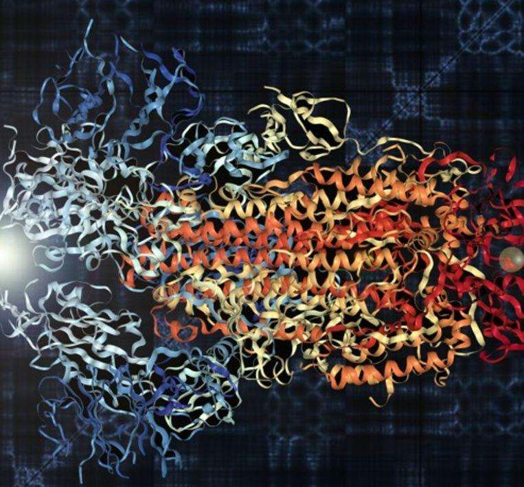 Scientists have transformed the structure of the coronavirus into a dash of music.