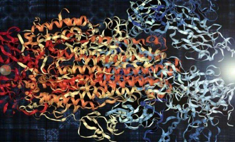Scientists turn coronavirus into a dash of (relaxing) music