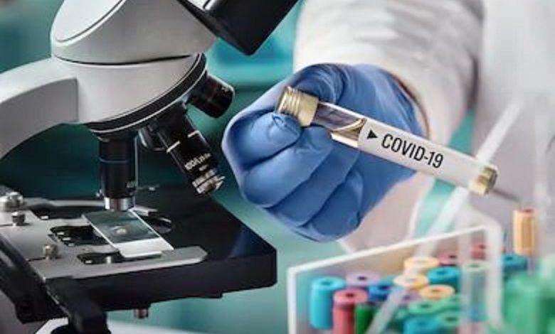 70 vaccines against covid-19 in making, possibly ready by autumn