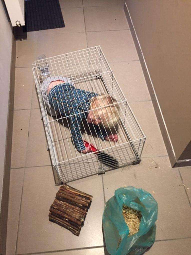 Most hilarious photos of havoc kids wreaked during lockdown 