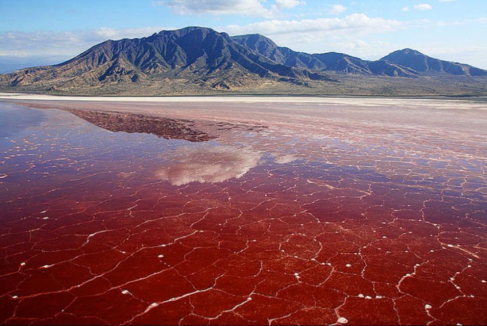  Lake Natron in Tanzania unsolved mysteries in africa
