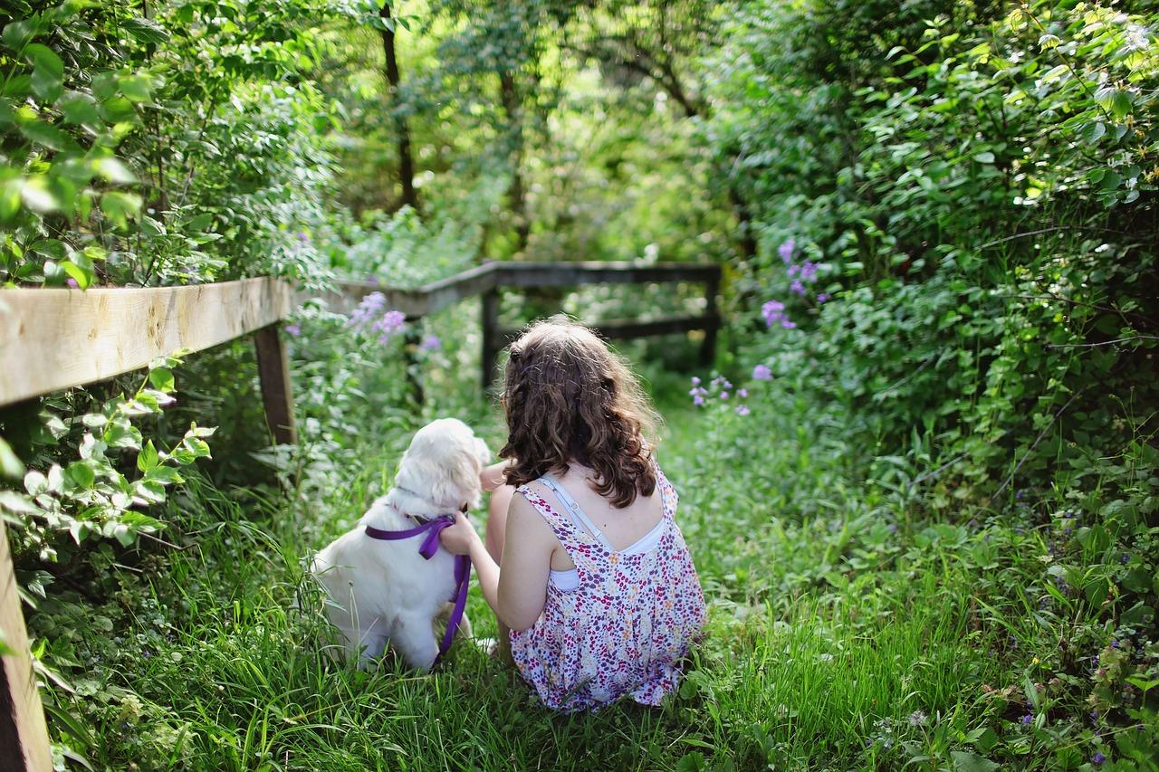 Those who spend time in their garden are healthier – study reveals