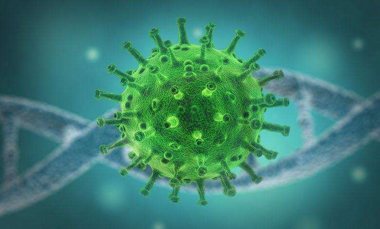 WHO: Ex-corona-patients who test positive for second time haven’t been re-infected
