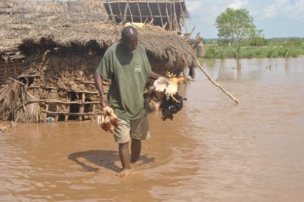At least 194 people in Kenya have also died from flooding
