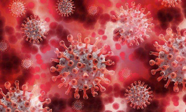 16 friends set out to celebrate end of quarantine in Florida: all infected