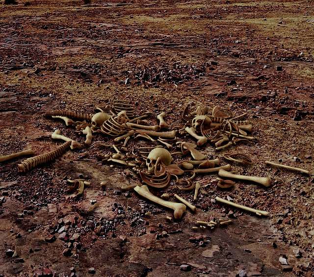 Three worst man-eaters in African: worst lion attack in history