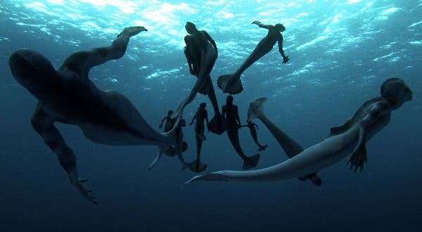  Discover shocking sightings of mermaids in Africa