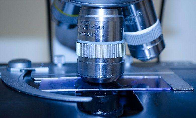 Wuhan laboratory firmly refutes allegations: “not even a mosquito can enter here”