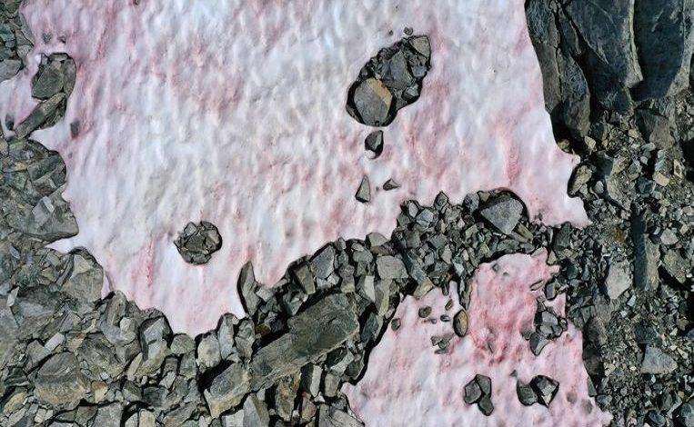 Mystery surrounding pink snow on Italian glacier