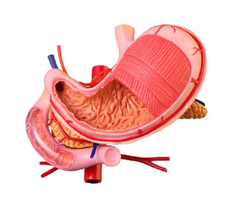 This symptom of a stomach ulcer often mistaken for gastritis