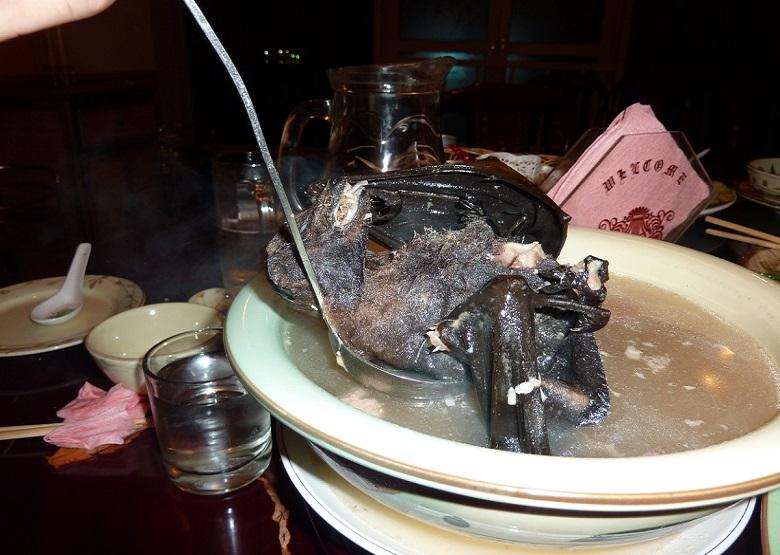 Bat Soup