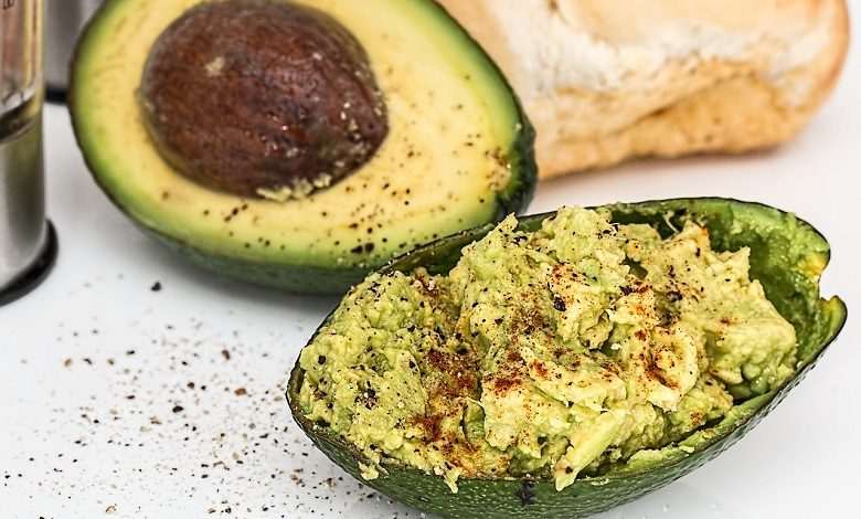 These foods should not be given to Dogs