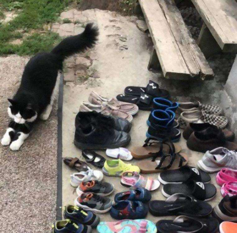 Behold the infamous thief with some of his loot.