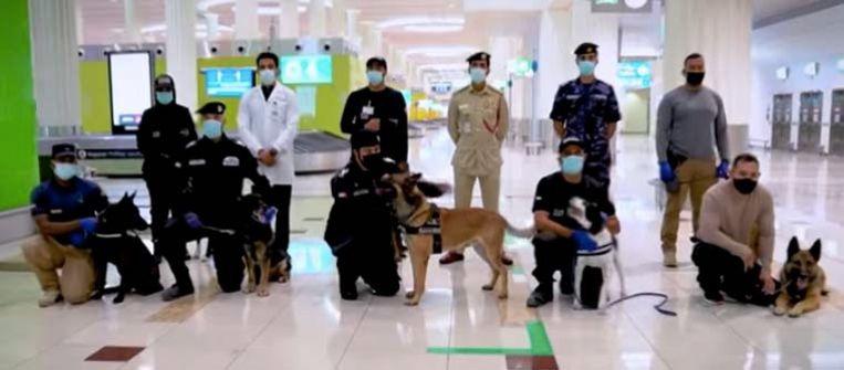 These dogs are active at Dubai Airport, but the country also wants to use dogs in police patrols, shopping centers or events.