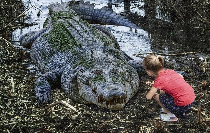 In front of father’s eyes, boy (8) disappears in crocodile’s jaws