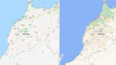 Google Maps gets graphics with more details