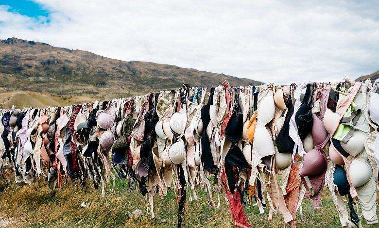5 fascinating things about ladies’ bras
