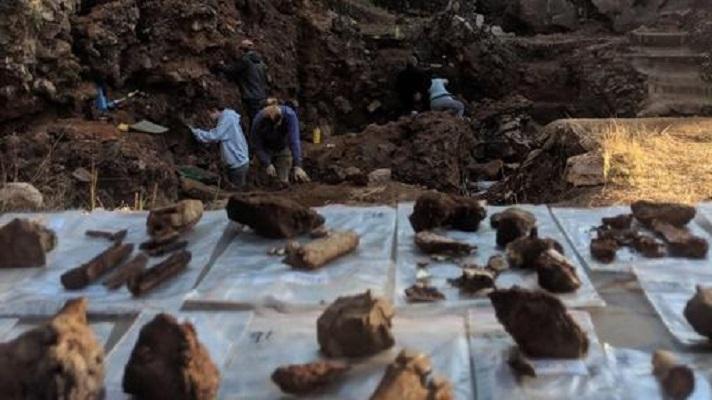 Ancient human unearth living together