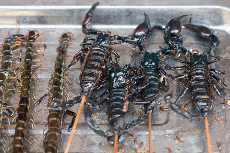 Scorpios on sticks in a chinese market, Chengdu, China