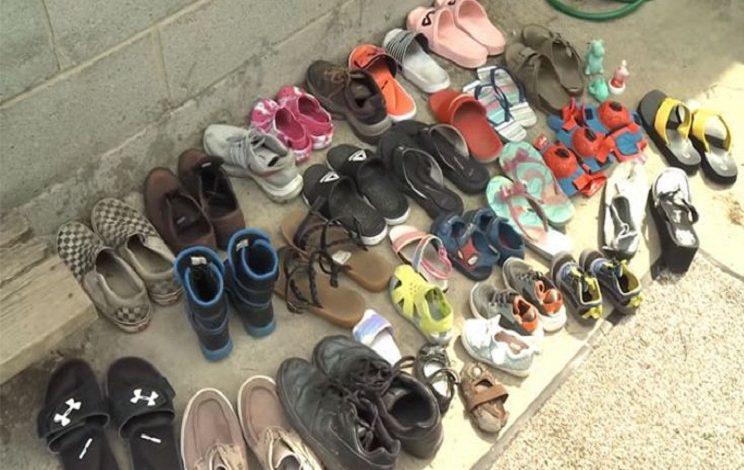 Cat steals many shoes that his owner create Facebook group to return them