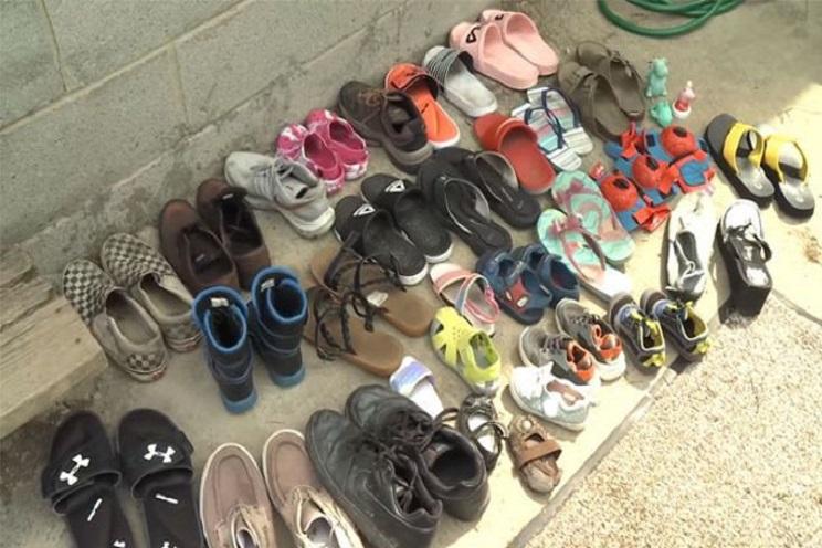 Cat steals many shoes that his owner create Facebook group to return them