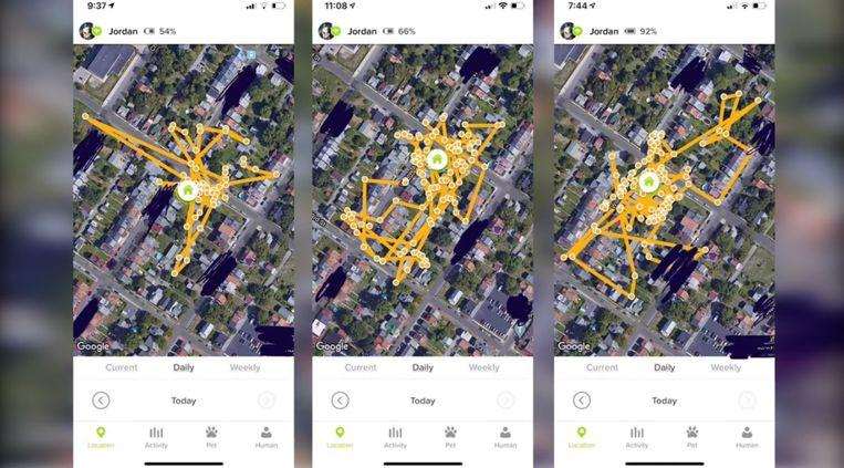 Mapping Jordan 's nocturnal hunts for shoes.