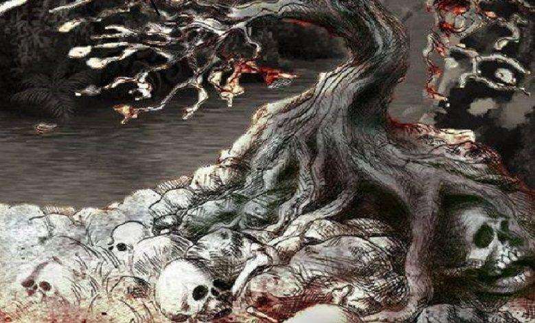 Umdhlebe tree so deadly that skeletons littered the ground around it