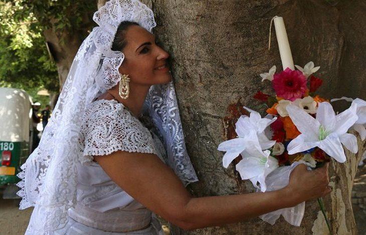 5 people that marry a tree