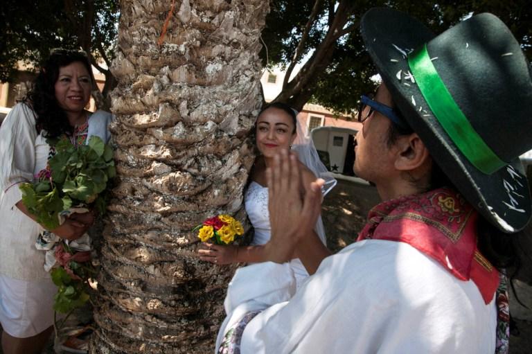 Mexican women (Mexico): 5 people that marry a tree