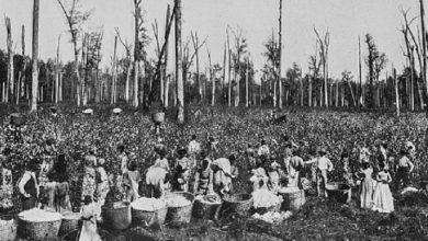 countries that still have slavery