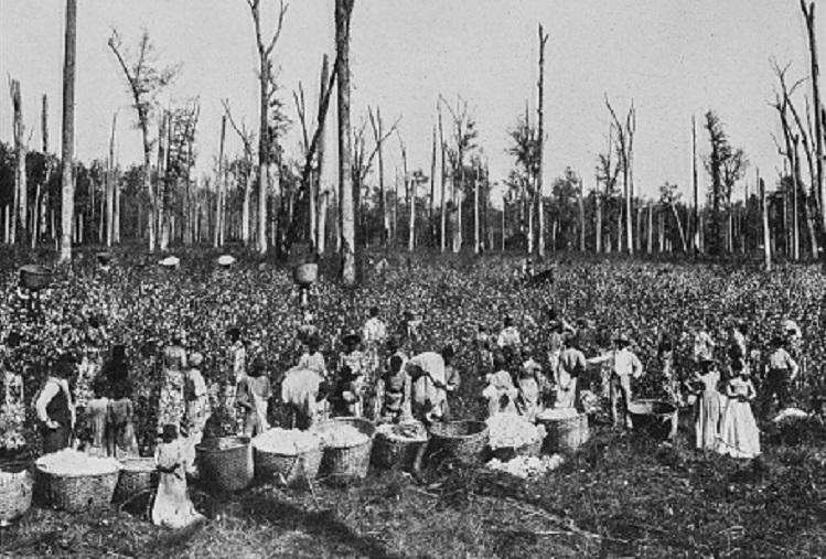 Australian slave traffickers drowned slaves instead of giving them freedom