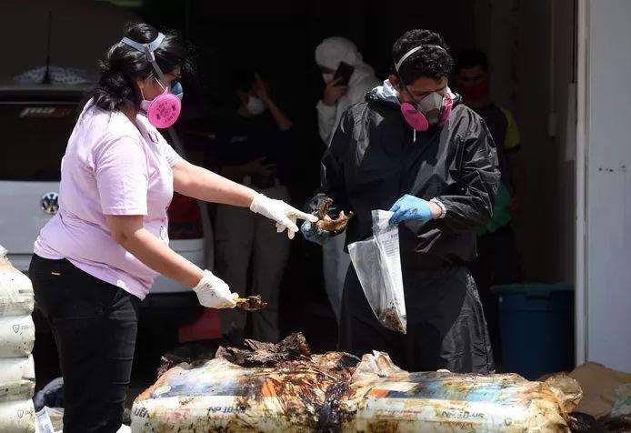 Forensic investigators at the remaining bodies found in the container.