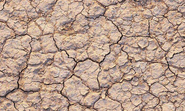 As drought and heat increase in Mongolia, the country’s climate is heavily impacted with possible repercussions throughout the northern hemisphere
