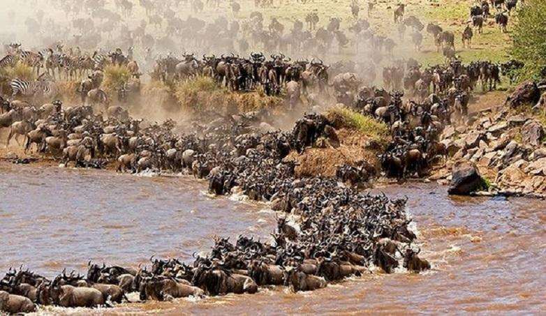 5 most important things people don’t know about Africa