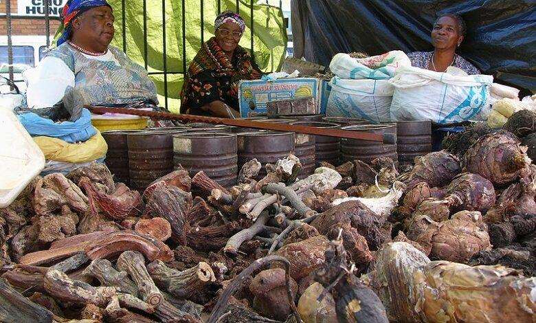 The Muthi, South African magical Love potion: myth or reality?