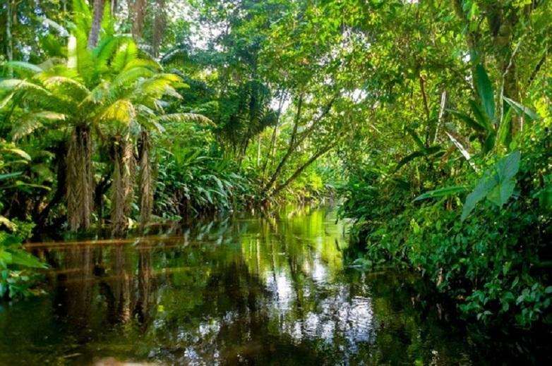 5 most important things people don’t know about Africa