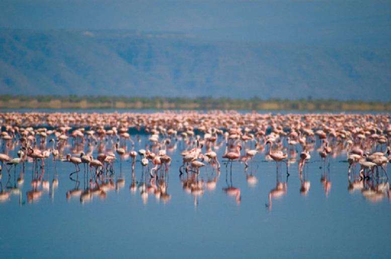 Lake Natron