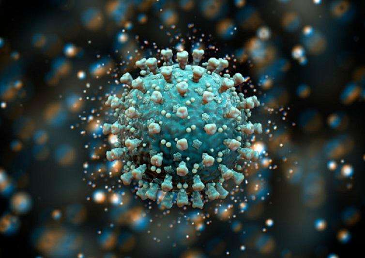 Genomics researchers in South Africa have discovered a new type of coronavirus, called 501.V2, the South African Minister of Health said.