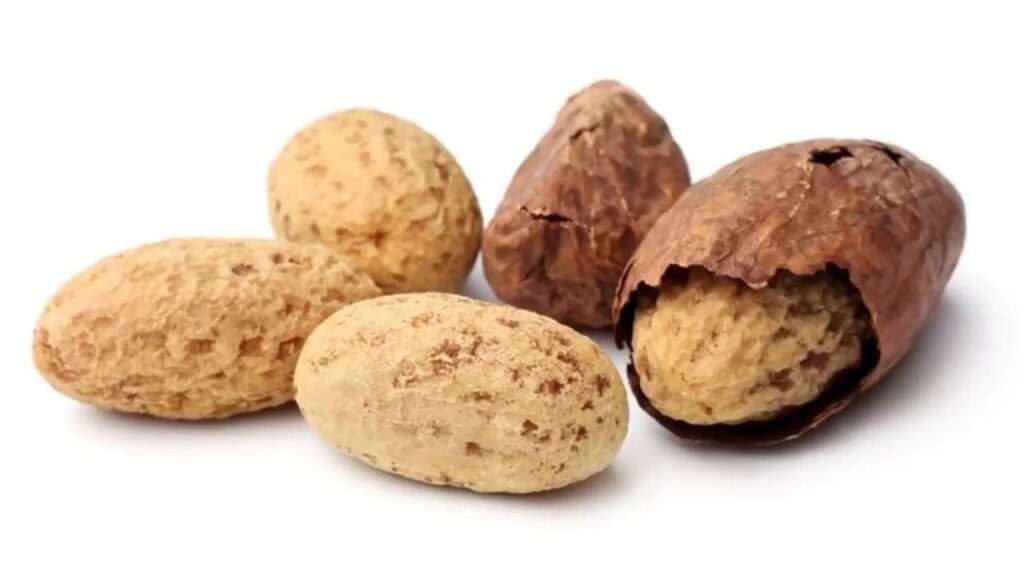 10 benefits of Bitter Kola that will make you forget its bitter taste