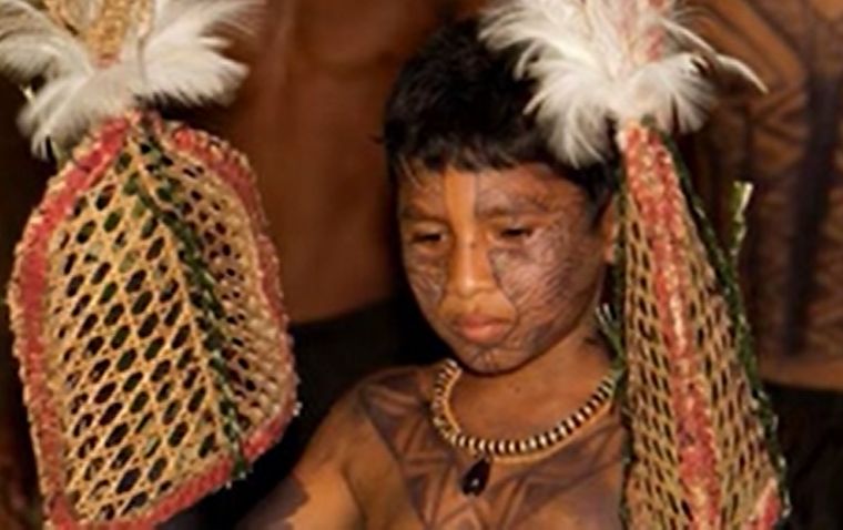 What to know about the tribal ritual of Bullet Ant Glove