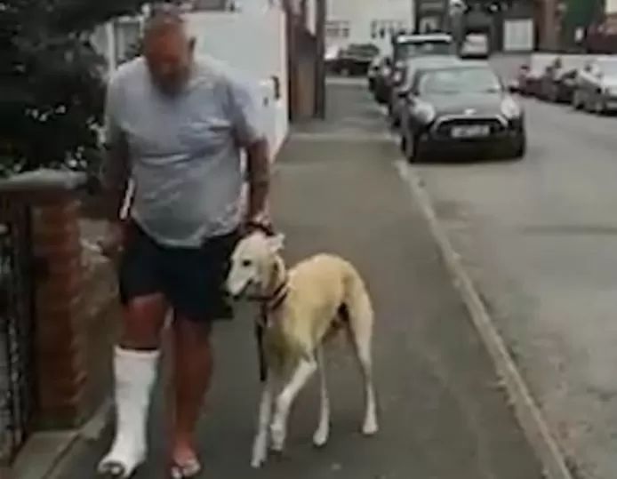 Boss breaks ankle, dog imitates his walking style to give him heart