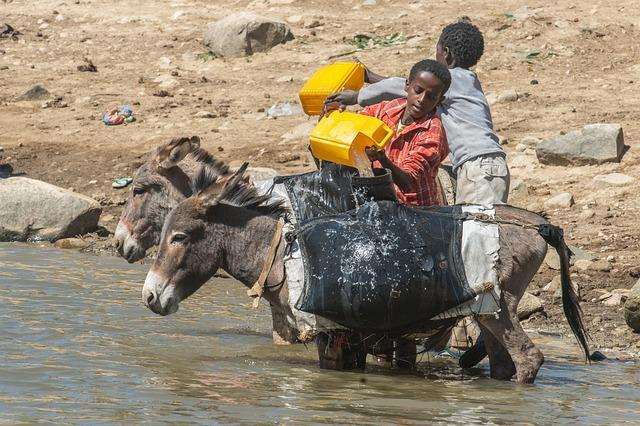 Top 11 captivating facts about Eritrea you never know