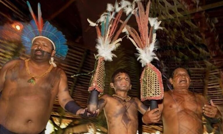 Bullet Ant Ritual Hand After What to know about the tribal ritual of Bullet Ant Gloves - Afrinik