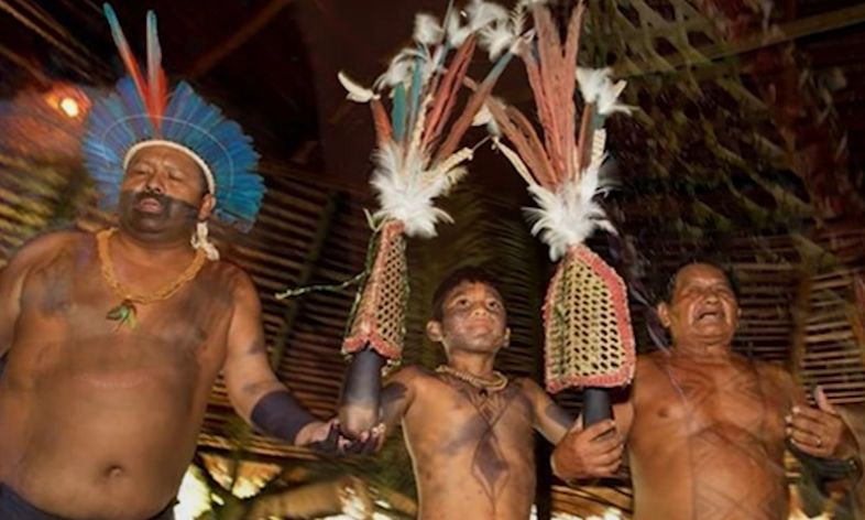 What to know about the tribal ritual of Bullet Ant Gloves