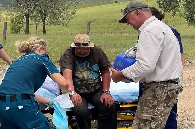 Man survives 18 days in wilderness by eating only mushroom